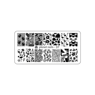 Planet Nails Пластина для Stamping Nail Art, №37 купить