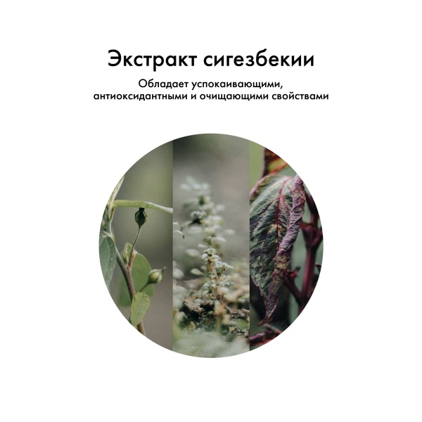 Kydra Le Salon Подготовительный технический шампунь для волос с экстрактом Сигезбекии Pre-Technique Alkaline pH Shampoo, 1000 мл купить