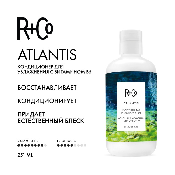 R+Co Кондиционер для увлажнения с витамином Атлантида В5 Atlantis Moisturizing B5 Conditioner, 251 мл купить