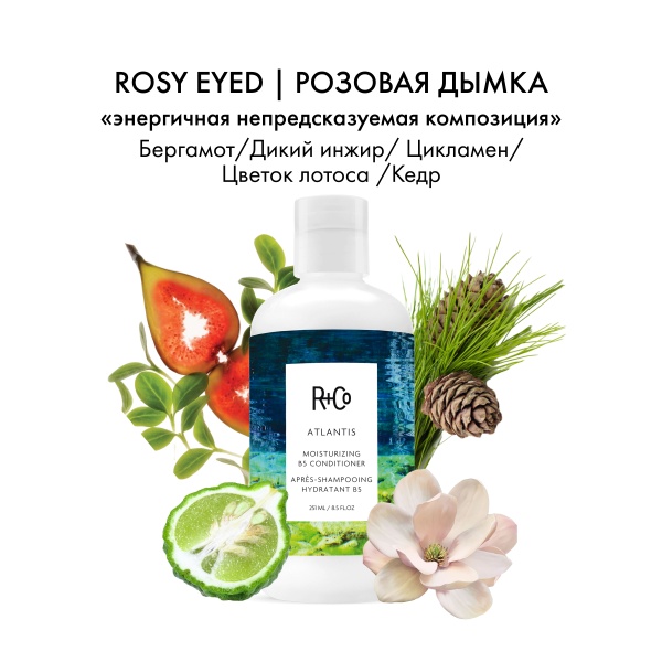 R+Co Кондиционер для увлажнения с витамином Атлантида В5 Atlantis Moisturizing B5 Conditioner, 251 мл купить