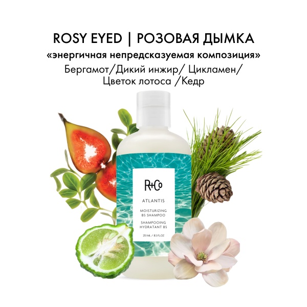 R+Co Шампунь для увлажнения с витамином В5 Атлантида Atlantis Shampoo, 251 мл купить