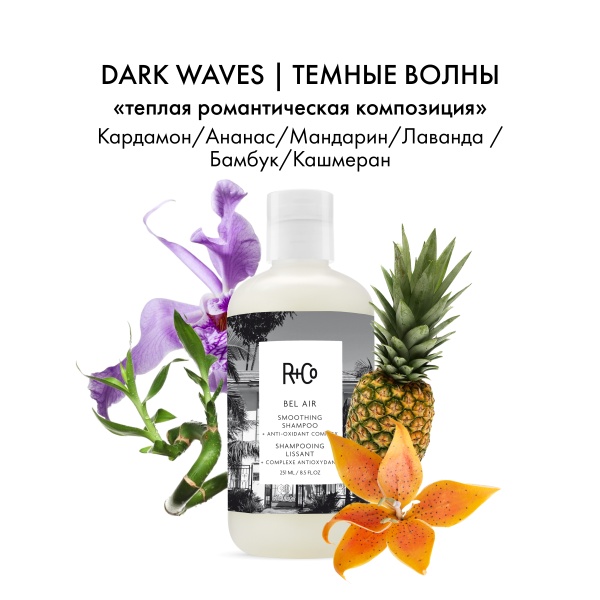 R+Co Шампунь для разглаживания с антиоксидантным комплексом Бэль Эйр Bel Aair Smoothing Shampoo + Anti-Oxidant Complex, 251 мл купить