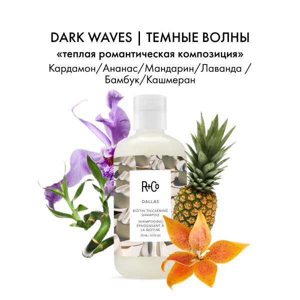 R+Co Шампунь с биотином для объема Далас Dallas Biotin Thickening Shampoo, 251 мл купить