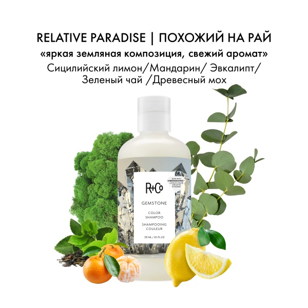 R+Co Шампунь для ухода за цветом с комплексом Калейдоскоп ChromoHance™ Gemstone Color Shampoo, 251 мл купить