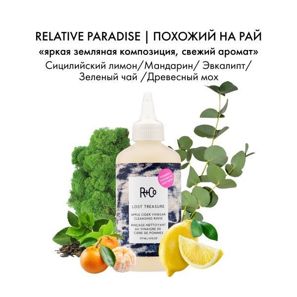 R+Co Шампунь для деликатного очищения с яблочным уксусом Мое сокровище Lost Treasure Apple Cider Vinegar, 177 мл купить