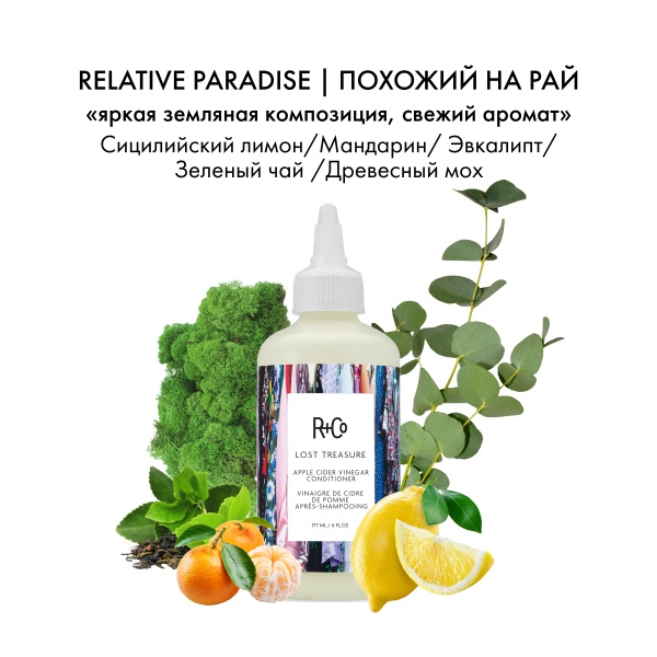 R+Co Кондиционер для волос и кожи головы с яблочным уксусом Мое сокровище Lost Apple Cider Vinegar Cond, 177 мл купить