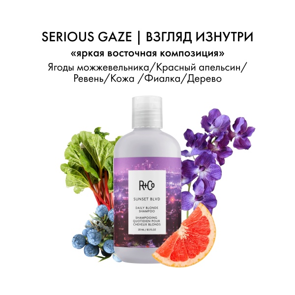 R+Co Шампунь для светлых волос Сансет Бульвар Sunset Blvd Daily Blonde Shampoo, 251 мл купить