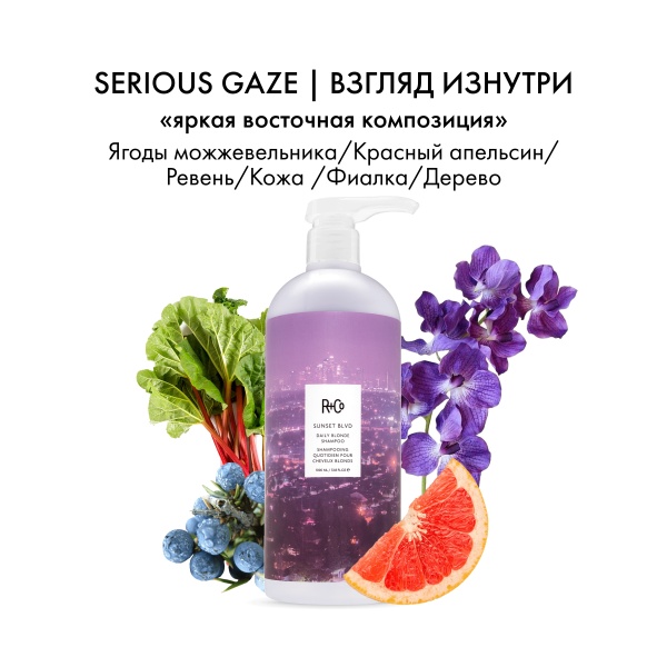 R+Co Шампунь для светлых волос Сансет Бульвар Sunset Blvd Daily Blonde Shampoo, 1000 мл купить