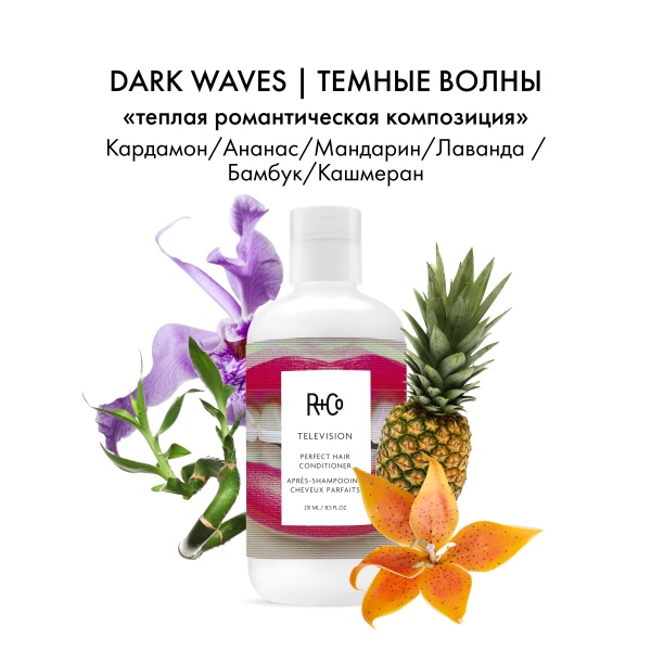 R+Co Кондиционер для совершенства волос Прямой Эфир Television Perfect Hair Conditioner, 251 мл купить