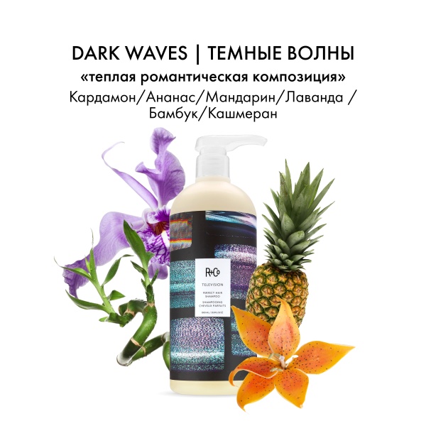 R+Co Шампунь для совершенства волос Прямой Эфир Television Perfect Hair Shampoo, 1000 мл купить