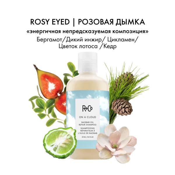 R+Co Шампунь На облаке для восстановления волос с маслом баобаба On a Cloud Baobab Oil Repair Shampoo, 251 мл купить