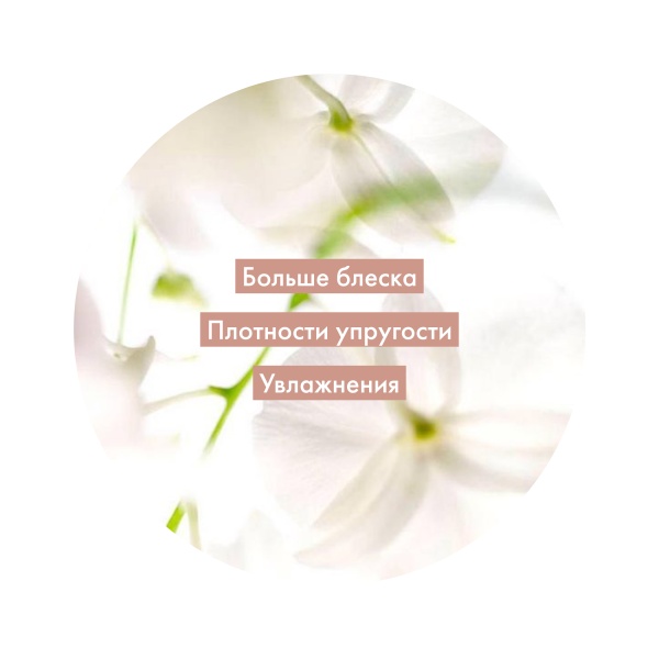 Kydra Le Salon Глосс-гель блеск и уход Jelly Gloss Shine and Dilution Care, прозрачный Glear, 400 мл купить