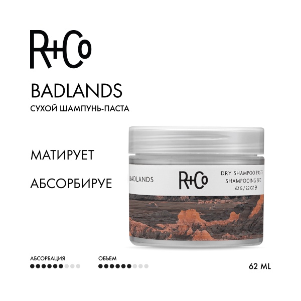 R+Co Сухой шампунь-паста Пустошь Badlands Dry Shampoo Paste, 62 гр купить