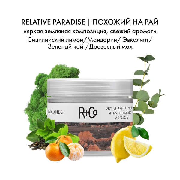R+Co Сухой шампунь-паста Пустошь Badlands Dry Shampoo Paste, 62 гр купить