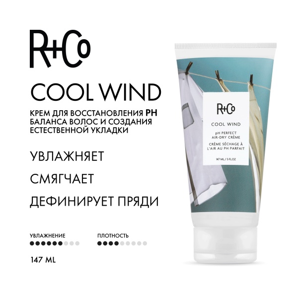 R+Co Крем для восстановления pH баланса волос и создания естественной укладки Ветер в голове Cool Wind pH Perfect Air-Dry Creme, 147 мл купить