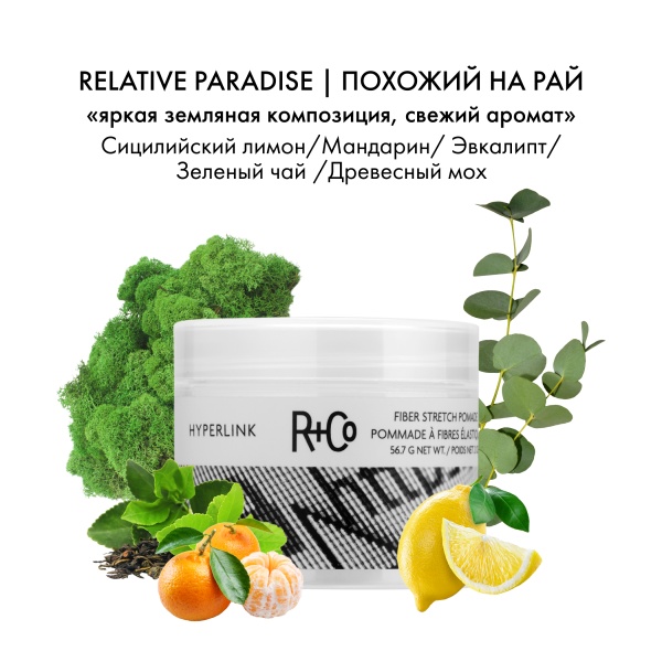 R+Co Помада для укладки подвижной фиксации Гиперссылка Hyperlink Fiber Stretch Pomade, 56.7 гр купить