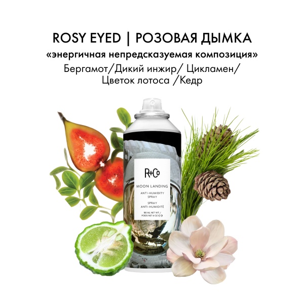 R+Co Спрей для защиты от влаги Прилунение Moon Landing Anti-Humidity Spray, 180 мл купить