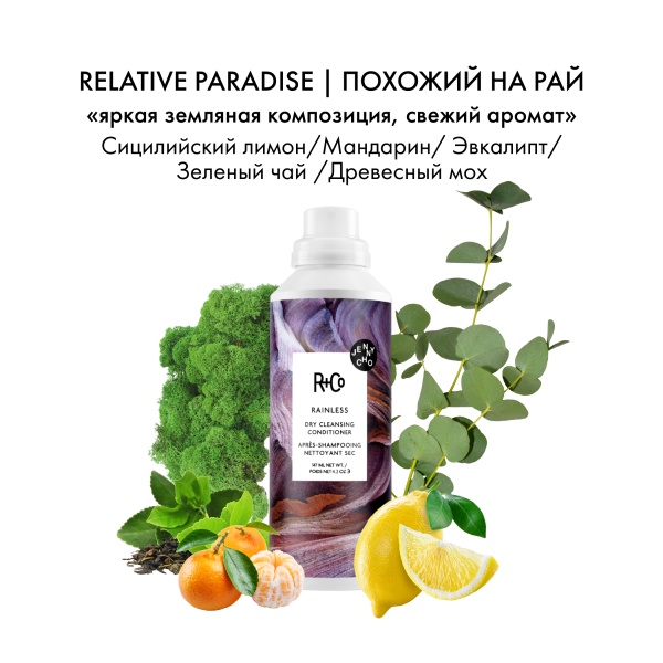 R+Co Сухой шампунь-кондиционер для кудрявых волос Сухой дождь Rainless Dry Cleansing Conditioner, 147 мл купить