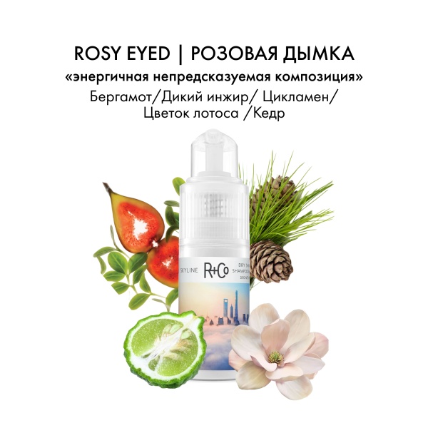 R+Co Сухой шампунь Горизонт Skyline Dry Shampoo Powder, 28 гр купить