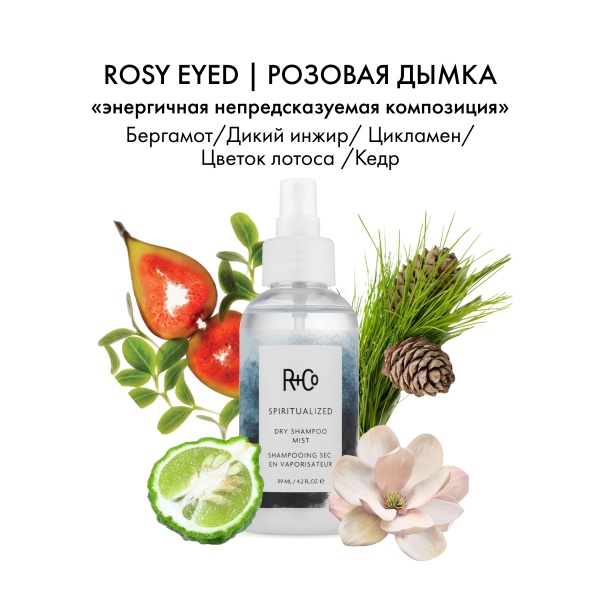 R+Co Жидкий сухой шампунь Экзорцист Spiritualized Dry Shampoo Mist, 124 мл купить
