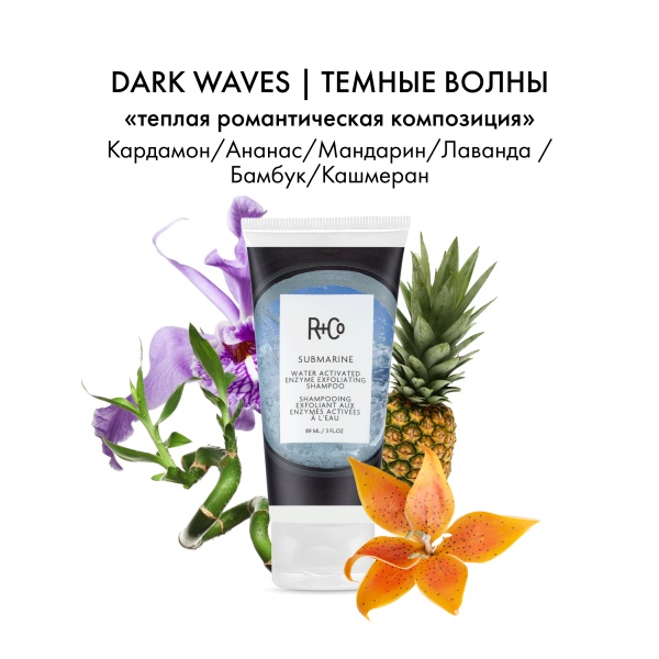 R+Co Шампунь-эксфолиант с гидроактивируемыми энзимами Субмарина Submarine Water Activated Enzyme Exfoliating Shampoo, 89 мл купить