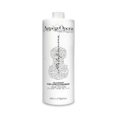 Emsibeth Шампунь для окрашенных волос Arpège Shampoo Haircare, 1000 мл купить