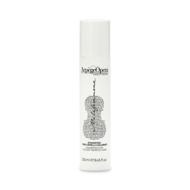 Emsibeth Шампунь для окрашенных волос Arpège Shampoo Haircare, 250 мл купить