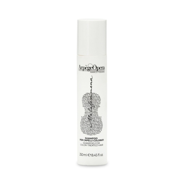 Emsibeth Шампунь для окрашенных волос Arpège Shampoo Haircare, 250 мл купить