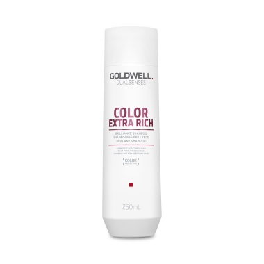 Goldwell Интенсивный шампунь для блеска окрашенных волос Dualsenses Color Extra Rich Brilliance Shampoo, 250 мл купить