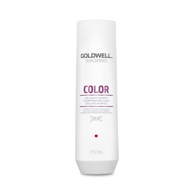 Goldwell Шампунь для блеска окрашенных волос Dualsenses Color Brilliance Shampoo, 250 мл купить