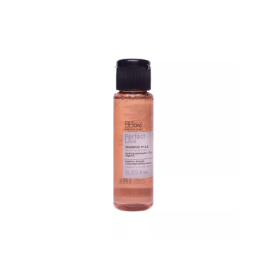 BB One Шампунь разглаживающий Perfect Liss Smooth&Anti-frizz, 60 мл купить