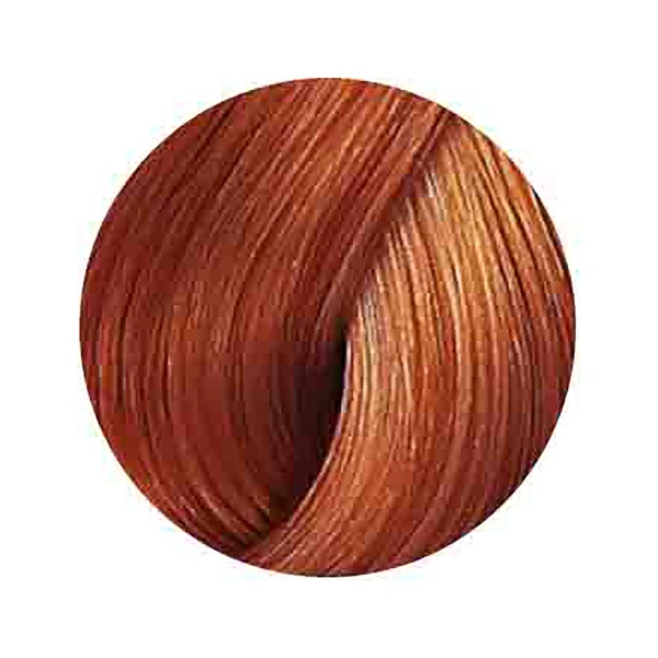 Wella Professionals Краска для волос Color Touch, 8/43 боярышник, 60 мл купить