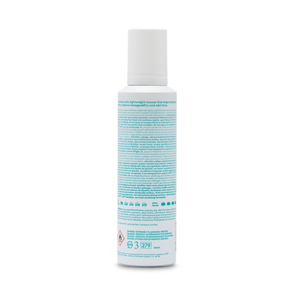 Evo Мусс для увлажнения и легкой фиксации волос [взбитый] Whip It Good Moisture Mousse, 200 мл купить