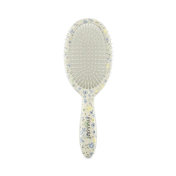 Framar Распутывающая щетка в накопителе Вечеринка в саду Detangle Brush Display - Garden Party, 9 шт купить