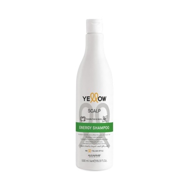 Yellow Professional Шампунь энергетический для роста волос YE Energy Shampoo, 500 мл купить