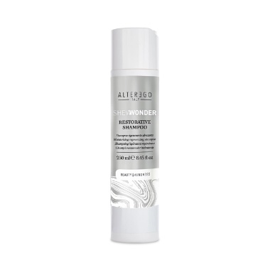 AlterEgo Восстанавливающий шампунь для непослушных волос Restorative Shampoo, 250 мл купить