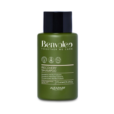 Benvoleo Шампунь для восстановления волос Recovery Shampoo, 275 мл купить