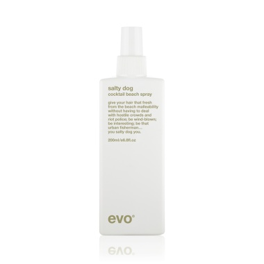Evo Текстурирующий спрей [пляжон(ка)] Salty Dog Salt Spray, 200 мл купить